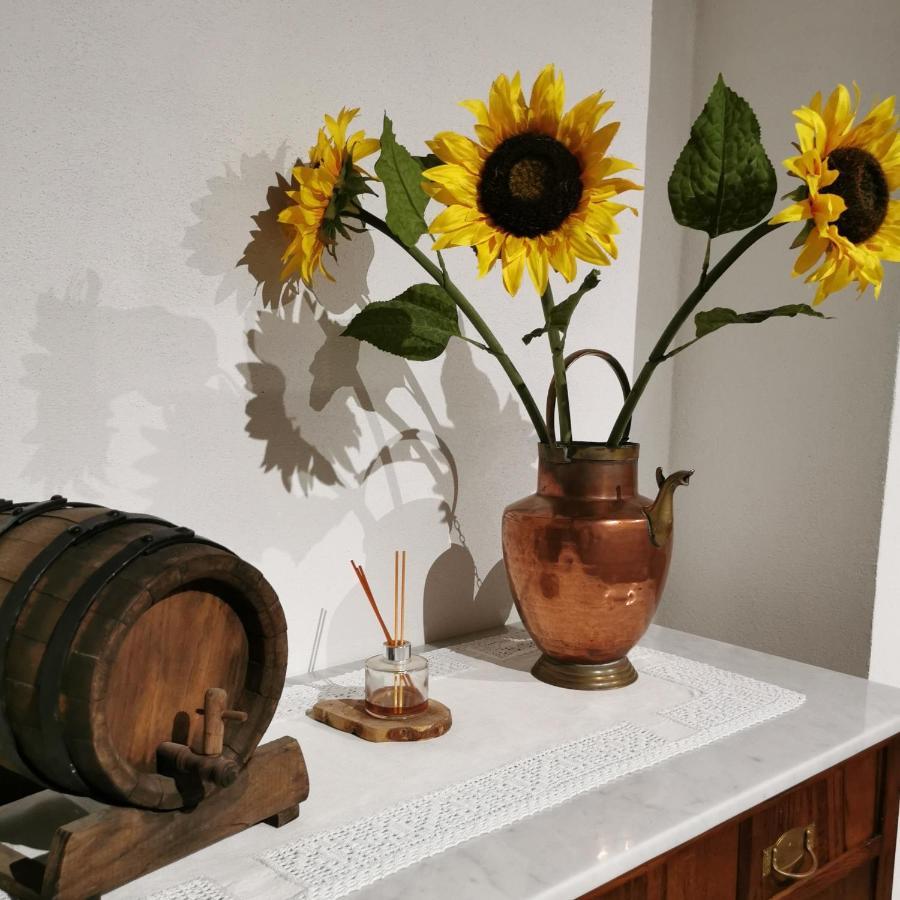 Otello Guest House Montalcino Extérieur photo